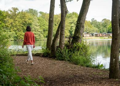 Woodland walk at Peal lake park