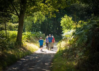 National Trust parkland walks abound in Herefordshire
