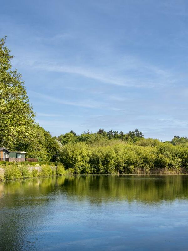 Lake view at Pearl Lake