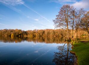 View across Pearl Lake photo