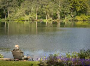 Natural fishing lake 5 star caravan park Pearl Lake