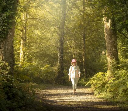 woodland walking photo
