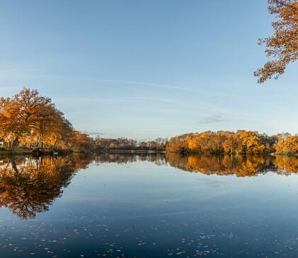 Spectacular autumn morning at Pearl Lake