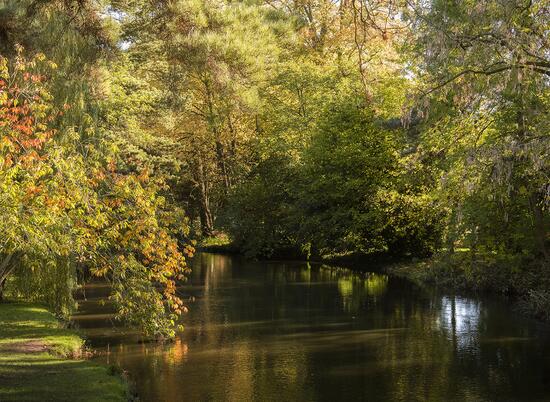 Autumn colours on the River Arrow, Herefordshire