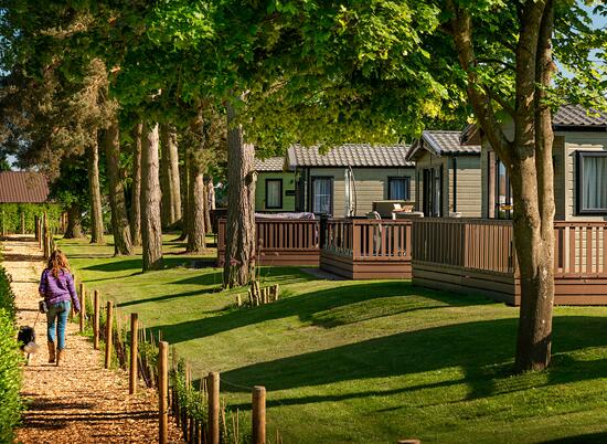 Relaxing dog walking at Pearl Lake Country Holiday Park