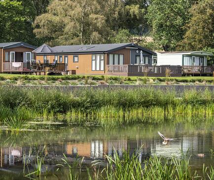 Luxury lodges overlooking the lake at Pearl Lake, Herefordshire