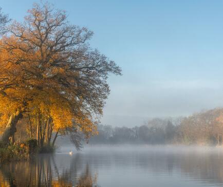 Spectacular winter colours reflected at Pearl Lake