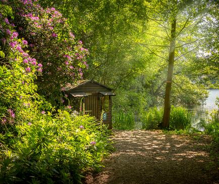 Nature hide in woodland at Pearl Lake Country Holiday Park
