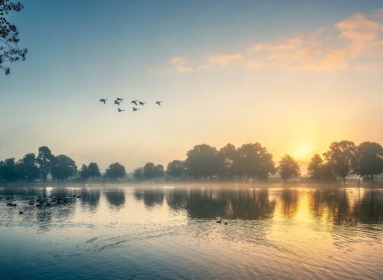 Misty Autumn sunrise over Pearl Lake