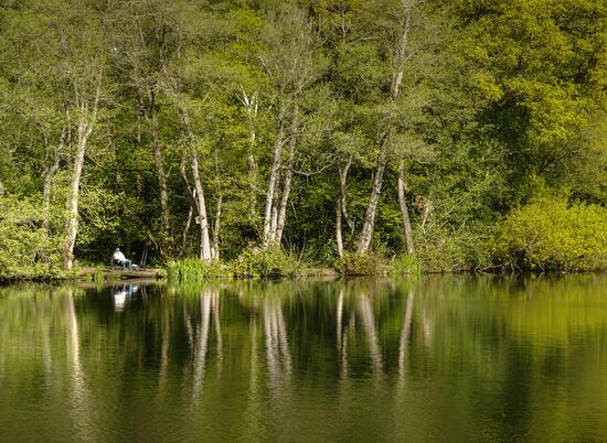 Peaceful fishing at Pearl Lake. Woodland Peg