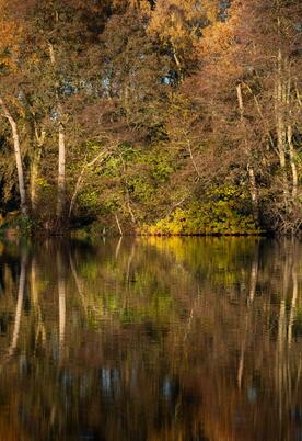 Spectacular autumn colours at Pearl Lake