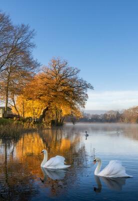 Spectacular winter colours reflected at Pearl Lake