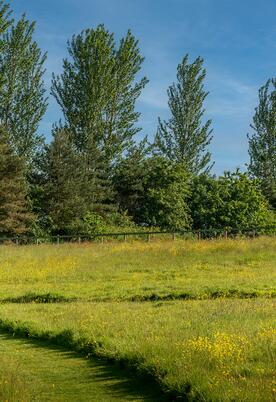 Pet friendly holidays at Pearl Lake Herefordshire