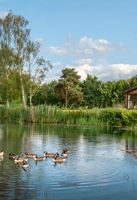 Herefordshire lake edge holiday homes for sale
