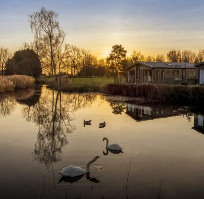 Lake sunrise photo over holiday lodges caravans