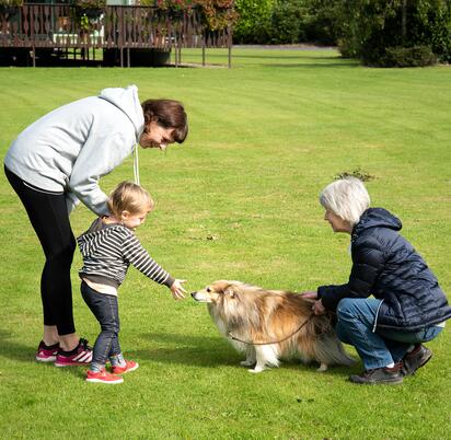 dog friendly caravan aprk