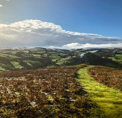 Walking on Hergest Ridge, Kington