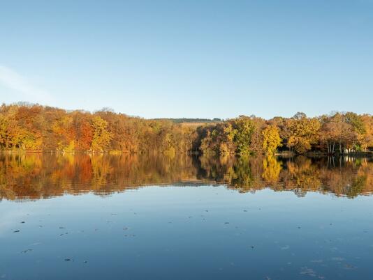 Spectacular autumn colours at Pearl Lake