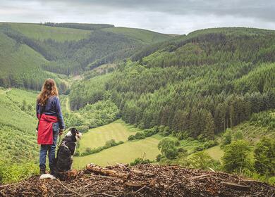 Dog friendly caravan site in Herefordshire Pearl Lake Country Holiday Park