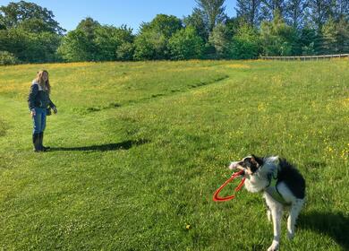 Dog friendly caravan site in Herefordshire Pearl Lake Country Holiday Park