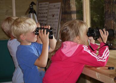 Nature hide bird watch 5 star caravan holiday park