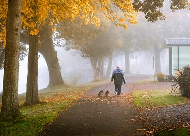 Dog friendly holiday park at Pearl Lake