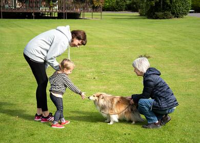 Dog friendly caravan site in Herefordshire Pearl Lake Country Holiday Park