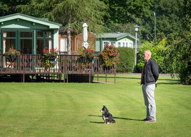 5 star caravan holiday park in Herefordshire - one man and his dog
