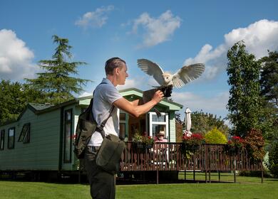 Bird of prey display at Pearl Lake