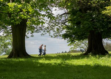 Countryside walks and rambles photo