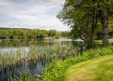 Fishing at Pearl Lake Holiday Park