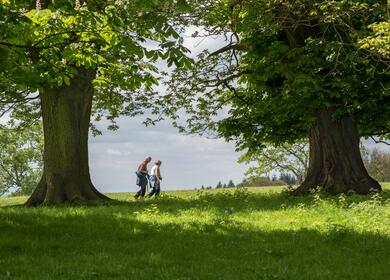 National Trust - Herefordshire