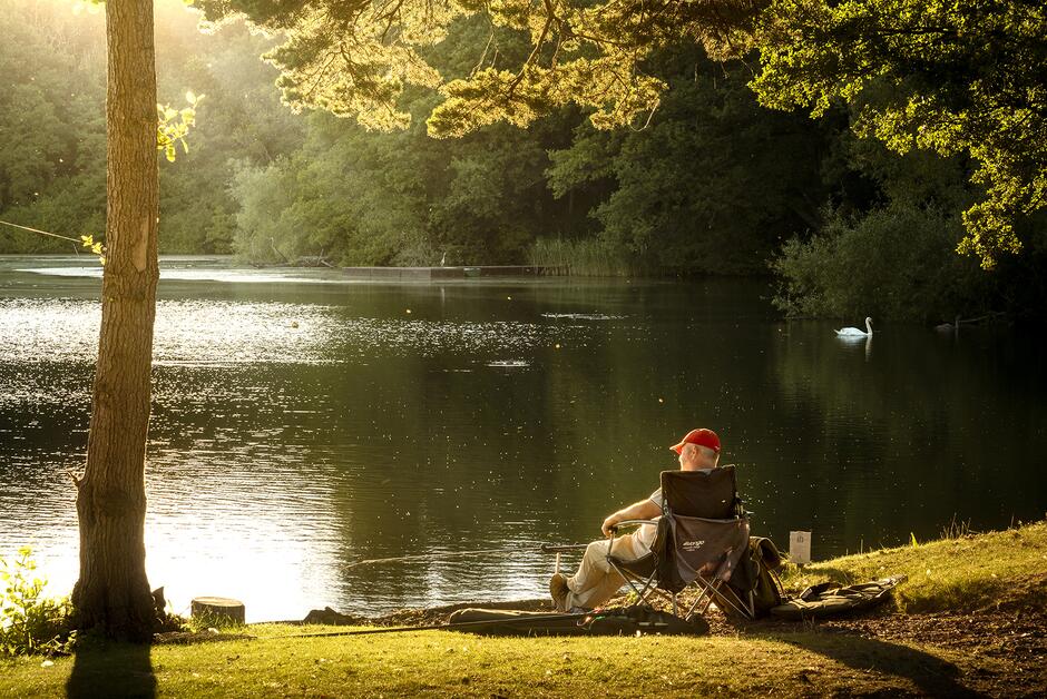 Natural fishing lake carp tench perch bream Herefordshire image