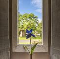 fishing holidays cottage - Feature windows photo